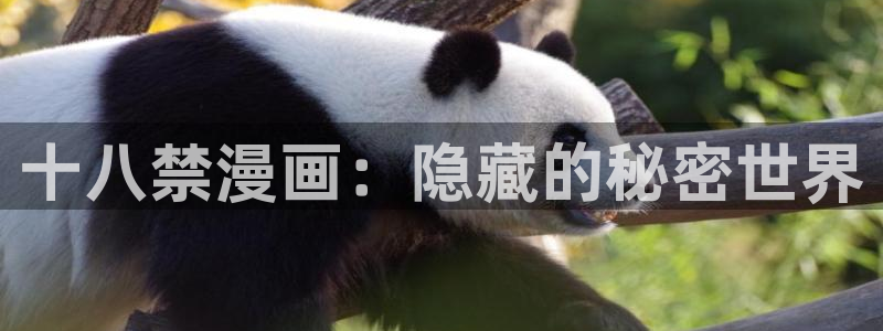 喵趣漫画为什么不能看了：十八禁漫画：隐藏的秘密世界